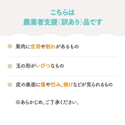 大玉 すいか ゴールデンジャック 訳あり 約6~8kg×1玉 2026年産 令和8年産 山形県産