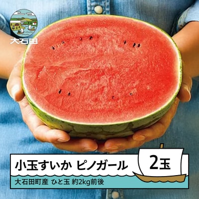 小玉 すいか ピノガール 約2kg×2玉 2026年産 令和8年産 山形県産 大石田町
