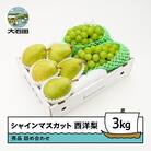 【先行予約】 シャインマスカット 西洋梨 秀品 詰め合わせ 3kg 令和8年産 2026年産