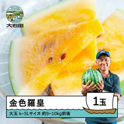 大玉 すいか 金色羅皇 4~5Lサイズ×1玉 2026年産 令和8年産 山形県産