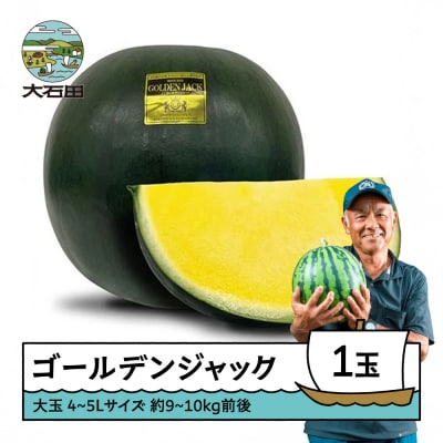 大玉 すいか ゴールデンジャック 4~5Lサイズ×1玉 2026年産 令和8年産 山形県産
