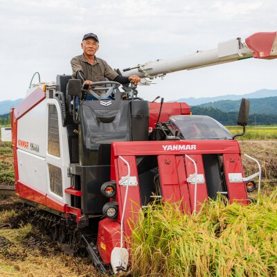 【1週間程度で発送】米 玄米 10kg ひとめぼれ 令和7年産 山形県産