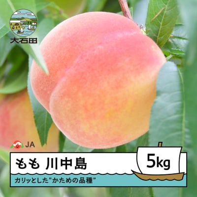 【先行予約】桃 もも 川中島 約5kg 2026年産 令和8年産 モモ ja-moknx5