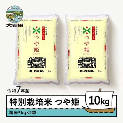 【1月下旬発送】米 令和7年産 つや姫 10kg 山形県大石田町産 特別栽培米 精米