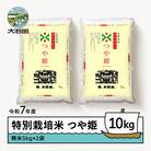 【2月下旬発送】新米 米 令和7年産 つや姫 10kg 山形県大石田町産 特別栽培米 精米