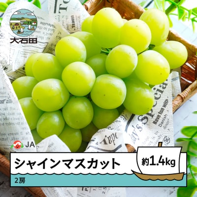 【先行予約】ぶどう シャインマスカット 約1.4kg 2026年産 令和8年産