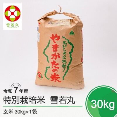 新米 米 雪若丸 30kg 令和7年産 【2026年4月上旬発送】山形県産 特別栽培米 玄米