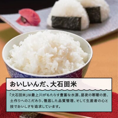 新米 米 雪若丸 30kg 令和7年産 【2026年4月上旬発送】山形県産 特別栽培米 玄米