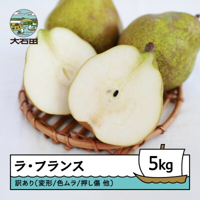 ラ・フランス 洋梨 訳あり 約5kg 2025年産 令和7年産 ns-lawax5