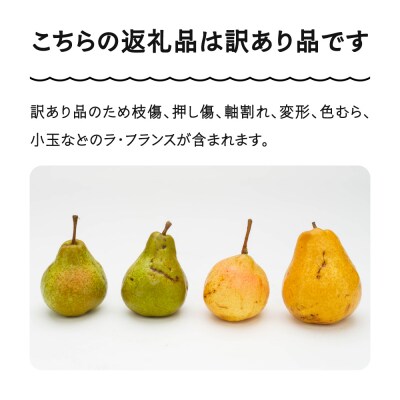 ラ・フランス 洋梨 訳あり 約5kg 2025年産 令和7年産 ns-lawax5