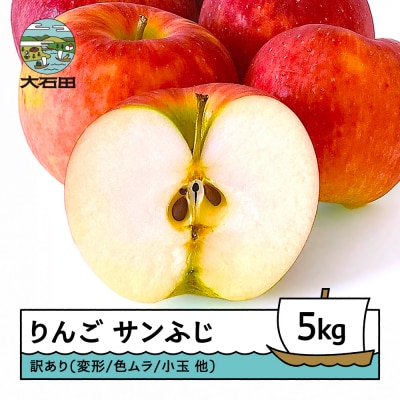 りんご サンふじ 訳あり 約5kg 2025年産 令和7年産 ns-riwax5