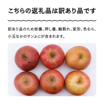 りんご サンふじ 訳あり 約5kg 2025年産 令和7年産 ns-riwax5