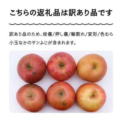 りんご サンふじ 訳あり 約5kg 2025年産 令和7年産 ns-riwax5