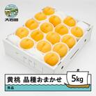 【先行予約】 有袋黄桃 秀品 品種おまかせ 約5kg 化粧箱入 2026年産 ns-mootx5
