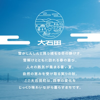 新米 米 令和7年産 もち米 ヒメノモチ 5kg 大石田町産 fa-mkhia5