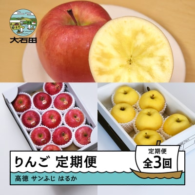 3回定期便 りんご 3種 高徳 サンふじ はるか 秀品 2026年産 令和8年産 ry-rt3xx