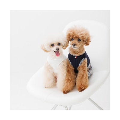 昭和堂写真館 利用補助券 30,000円分 10,000円×3枚 sd-hkxxx30000