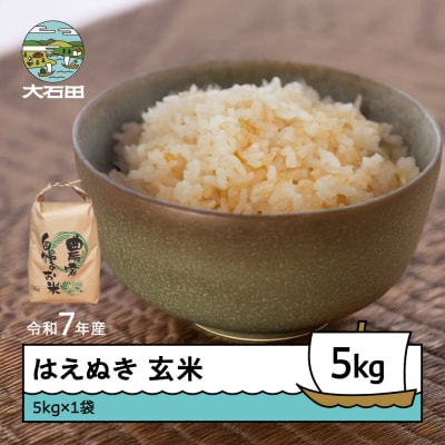 米 令和7年産 はえぬき 玄米 5kg 順次発送 ap-hagxa5