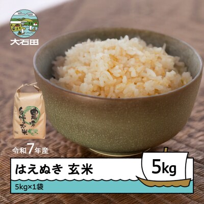 米 令和7年産 はえぬき 玄米 5kg 順次発送 ap-hagxa5