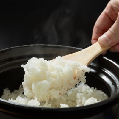 米 令和7年産 はえぬき 玄米 5kg 順次発送 ap-hagxa5