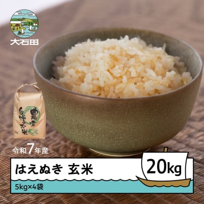 米 令和7年産 はえぬき 玄米 20kg 5kg×4 順次発送 ap-hagxa5x4