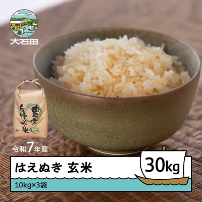 米 令和7年産 はえぬき 玄米 30kg 10kg×3 順次発送 ap-hagxa10x3