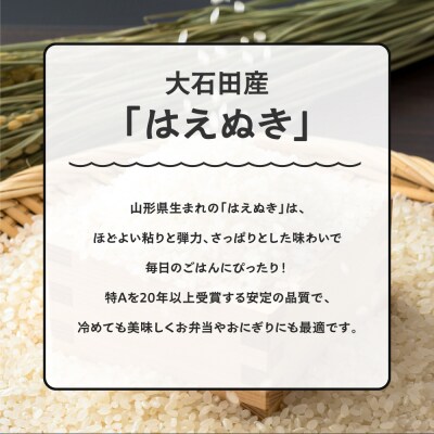 【3月上旬発送】米 令和7年産 はえぬき 10kg 山形県大石田町産 特別栽培米 精米