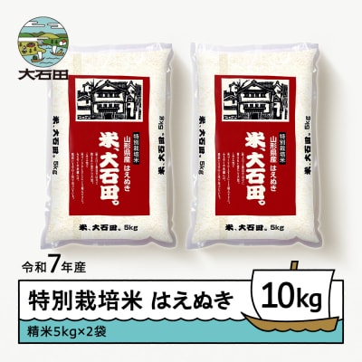 【6月下旬発送】米 令和7年産 はえぬき 10kg 山形県大石田町産 特別栽培米 精米