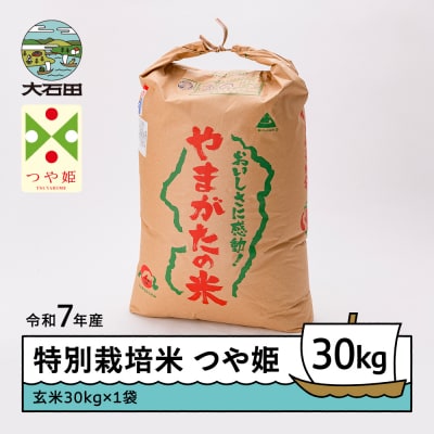 【5月下旬発送】米 令和7年産 つや姫 30kg 山形県大石田町産 特別栽培米 玄米