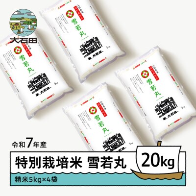 【4月上旬発送】新米 米 令和7年産 雪若丸 20kg 山形県大石田町産 特別栽培米 精米