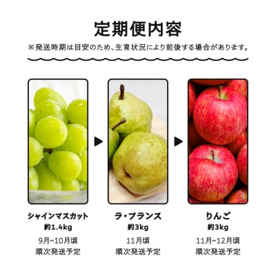 【先行予約】フルーツ定期便 全6回 さくらんぼ すいか もも シャインマスカット 洋梨 りんご