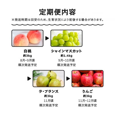 【先行予約】フルーツ定期便 全4回 もも シャインマスカット ラ・フランス りんご