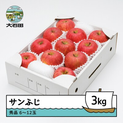 りんご サンふじ 秀品 約3kg 2026年産 令和8年産 ns-risfx3