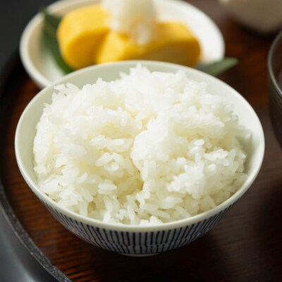 米 令和7年産 あきたこまち 無洗米 20kg 5kg×4袋 順次発送 ap-akmxa5x4