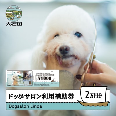 ドッグサロン 利用補助券 20,000円分 Dogsalon Linoa li-hkxxx20000