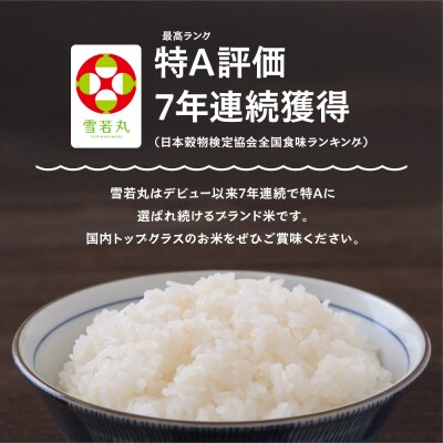 【2027年1月上旬発送】 新米 米 雪若丸 5kg 精米 令和8年産 特別栽培米