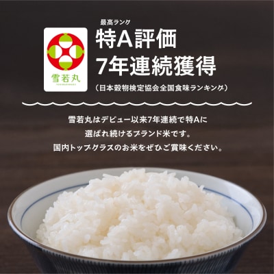 【2027年2月上旬発送】 新米 米 雪若丸 20kg 精米 令和8年産 特別栽培米