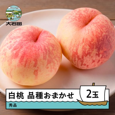 もも 白桃 品種おまかせ 2玉 令和8年産 2026年産 ry-mohtx2