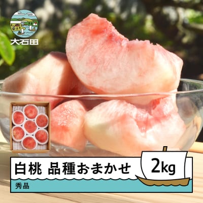 白桃 秀品 品種おまかせ 2kg 山形県産 2026年産 令和8年産 ry-mohtx2000