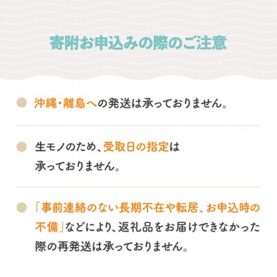 白桃 秀品 品種おまかせ 2kg 山形県産 2026年産 令和8年産 ry-mohtx2000