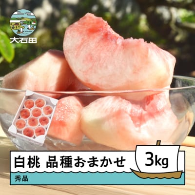 白桃 秀品 品種おまかせ 3kg 山形県産 2026年産 令和8年産 ry-mohtx3000