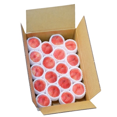 白桃 秀品 品種おまかせ 5kg 山形県産 2026年産 令和8年産 ry-mohtx5000