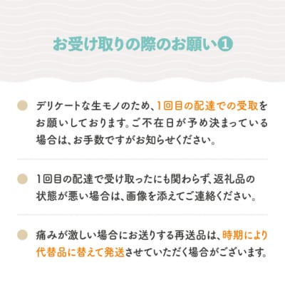 白桃 秀品 品種おまかせ 5kg 山形県産 2026年産 令和8年産 ry-mohtx5000