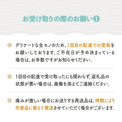 さくらんぼ 紅秀峰 特秀2Lサイズ 300g ギフト 化粧箱鏡詰め 令和9年産 山形県産