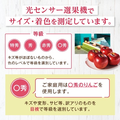 長野県北部　ご家庭用　サンふじ3kg