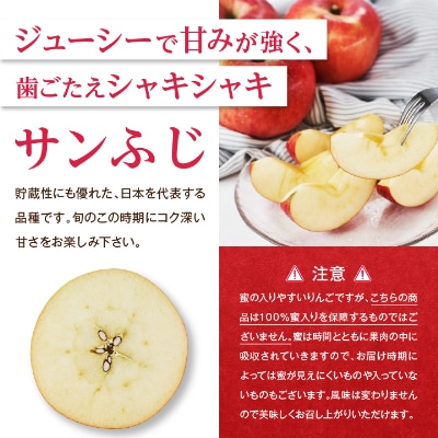 長野県北部　ご家庭用　サンふじ5kg