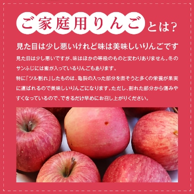 長野県北部　ご家庭用　サンふじ5kg