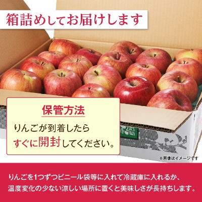 長野県北部　ご家庭用　サンふじ5kg