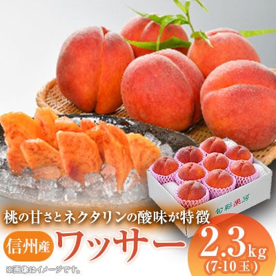 信州産ワッサー2.3kg