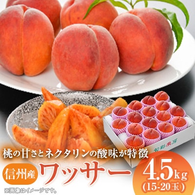 信州産ワッサー4.5kg | 長野県中野市 | ふるさと納税サイト